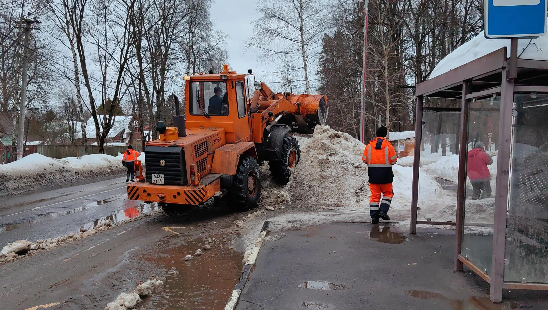 Елена Катасонова