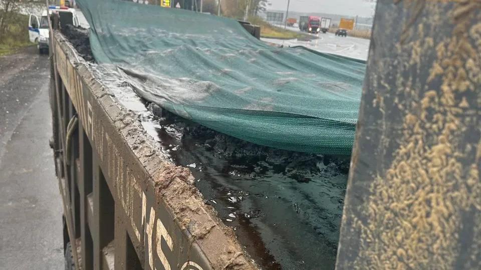 Фото: Министерство экологии и природопользования Московской области