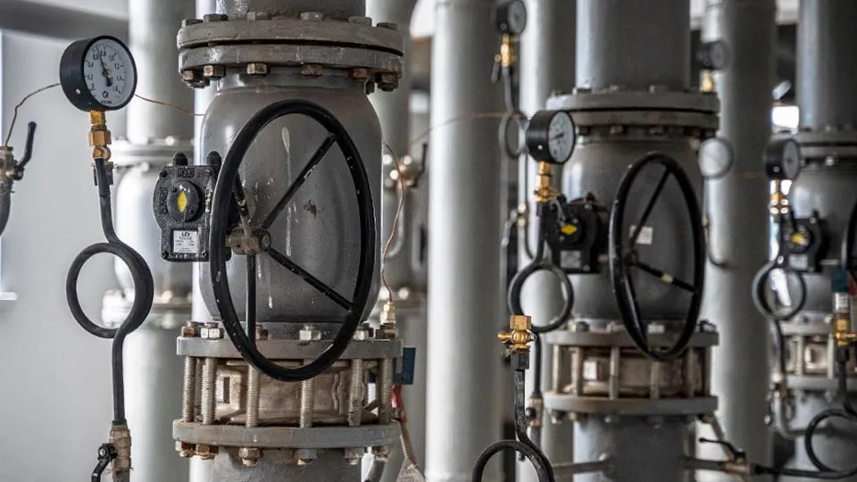 Фото: пресс-служба губернатора и правительства Московской области