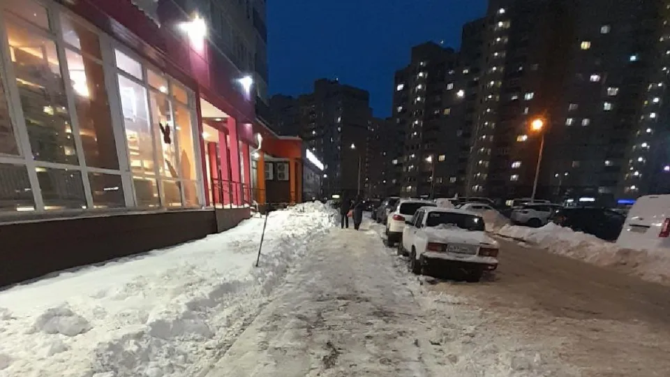 Фото: пресс-служба администрации г.о. Лосино-Петровский