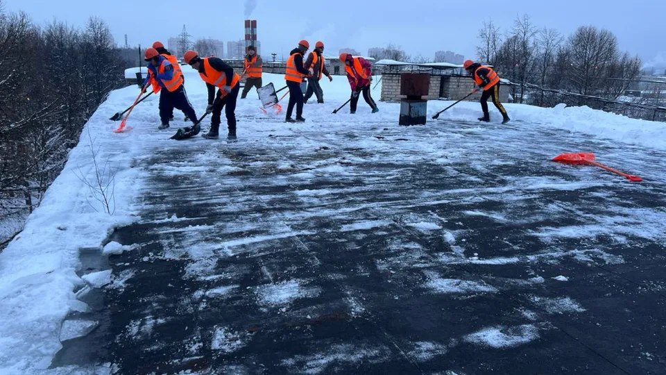 Фото: пресс-служба администрации Ленинского г.о.