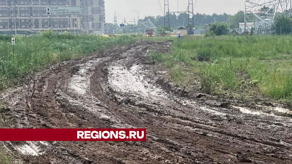 Фото: REGIONS/Валерия Исаева