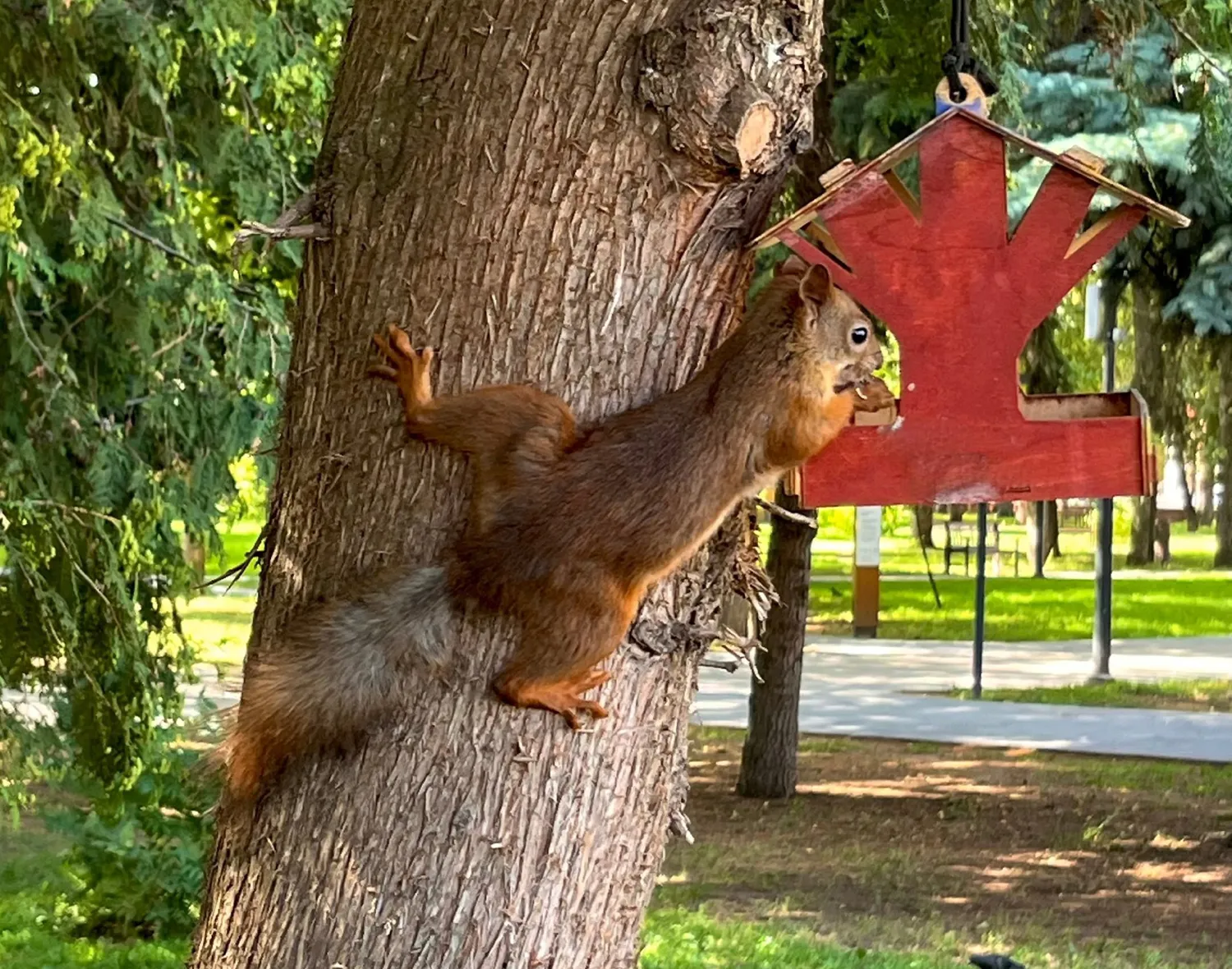 Фото: Центр досуга «Победа»