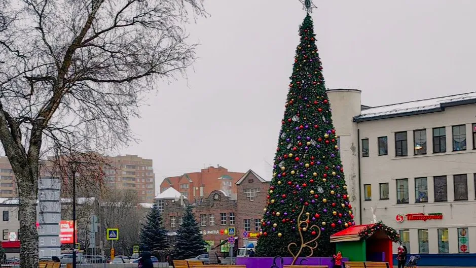 Фото: медиасток.рф