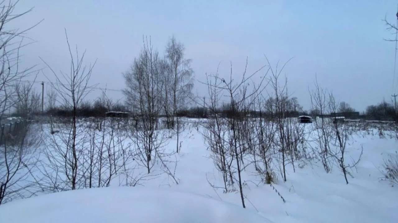 Более 3 млрд руб. поступило в бюджеты округов Подмосковья от аренды и продажи недвижимости