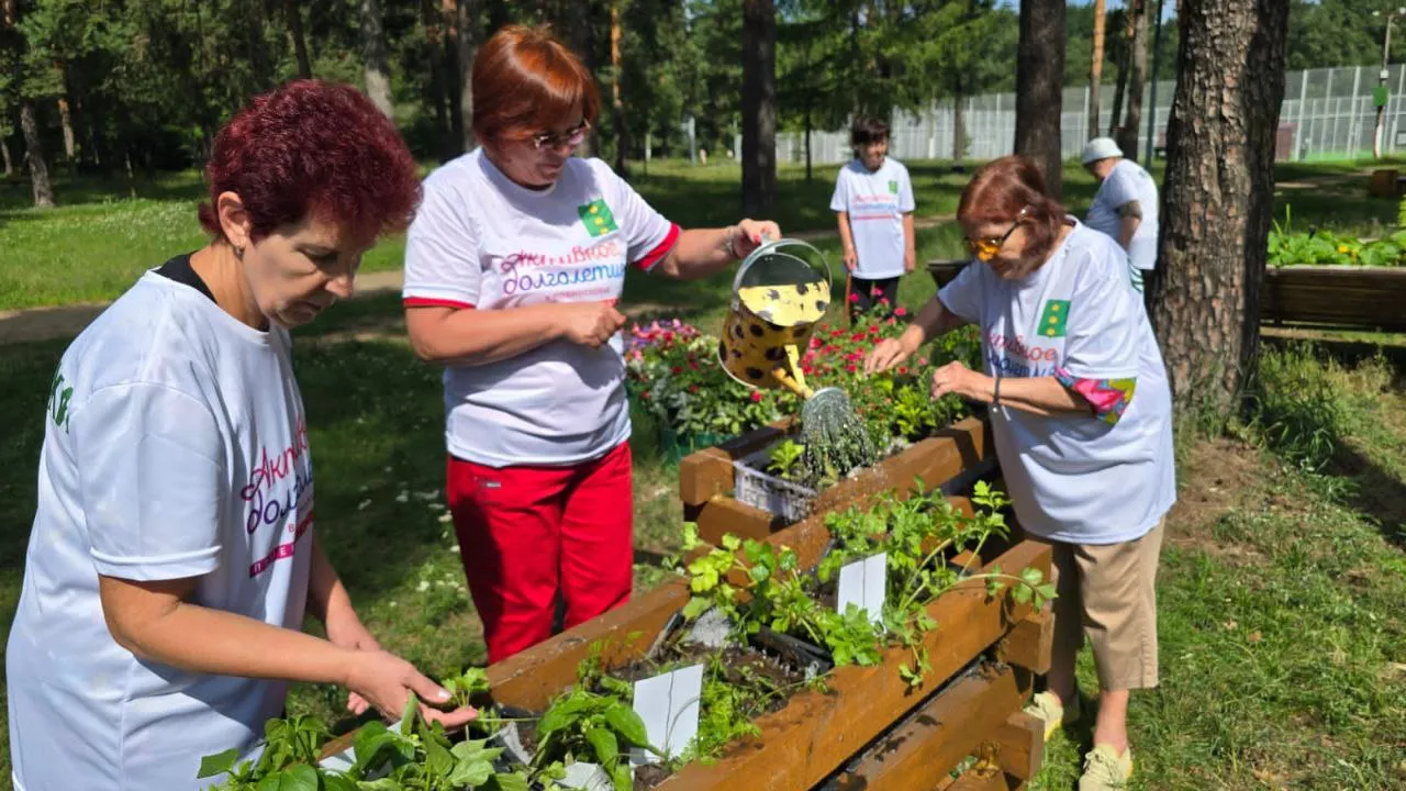 Фото: t.me/kuz_les