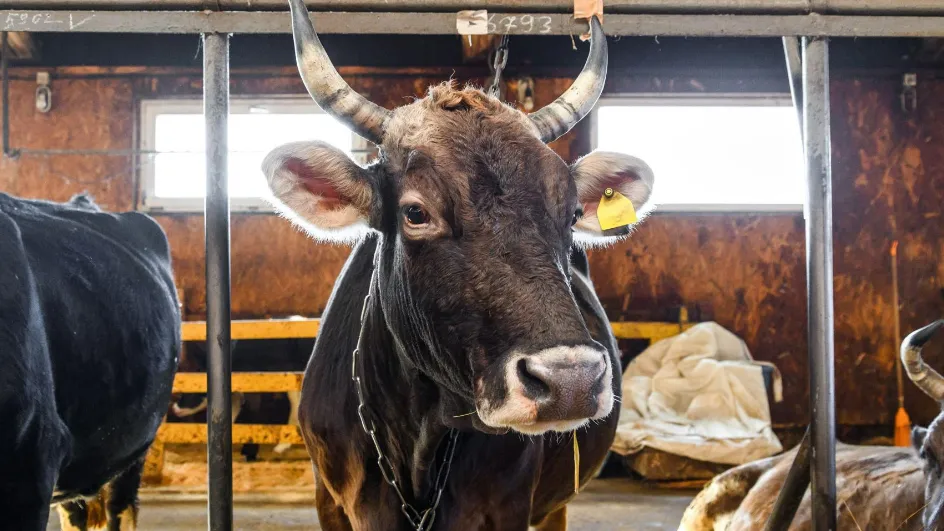 Фото: медиасток.рф