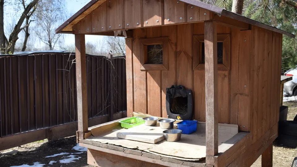 Фото: REGIONS/Александра Никитина