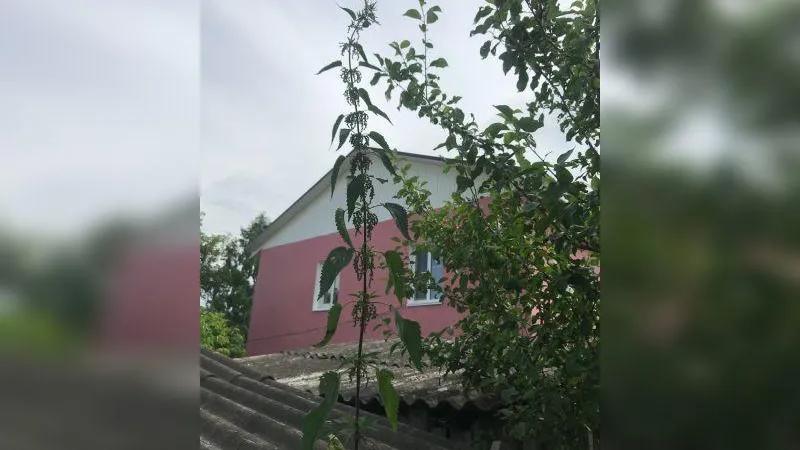 Озеры 24 / ВКонтакте