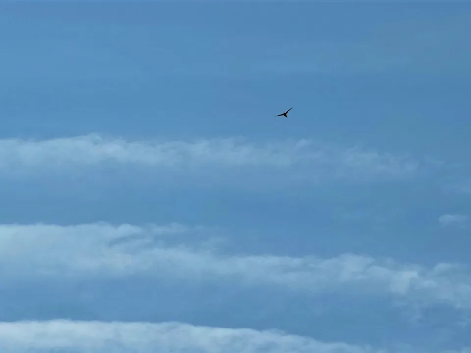 Фото: Евгения Шевнина