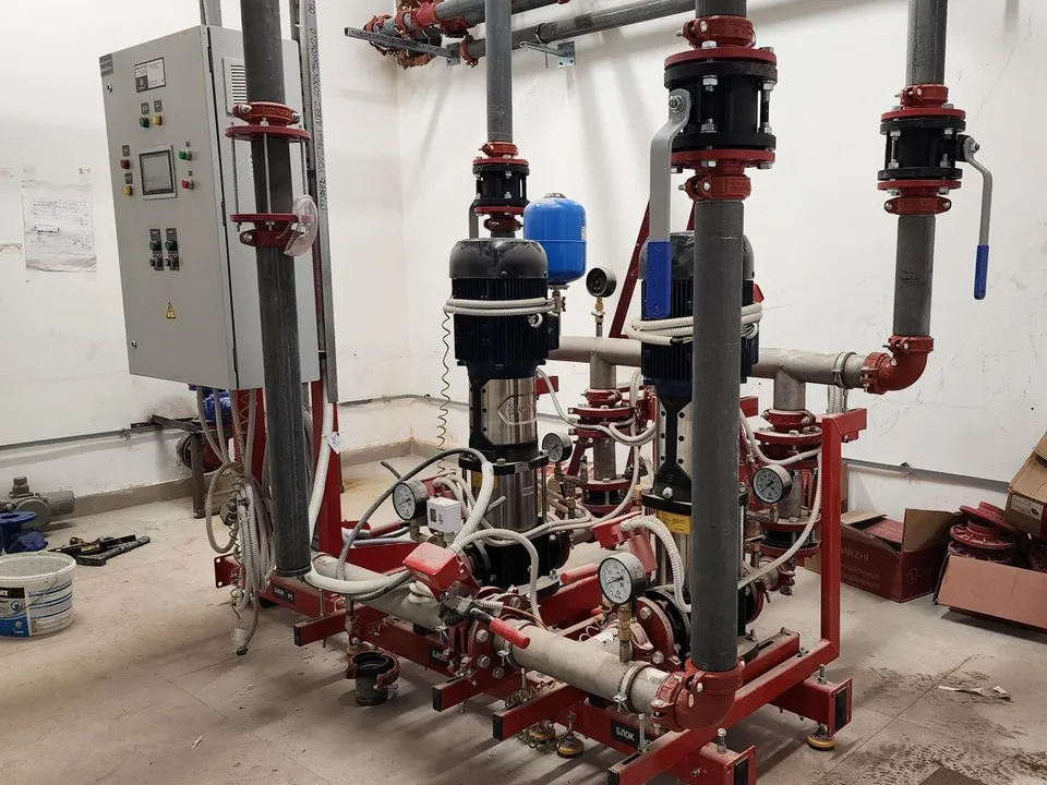 Фото: Ольга Фельдфебелева