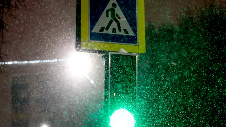 Фото: ТАСС/Игорь Генералов