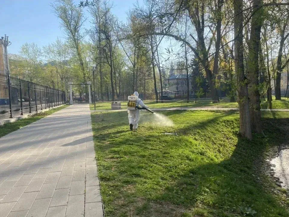 Фото: пресс-служба Министерства благоустройства Московской области