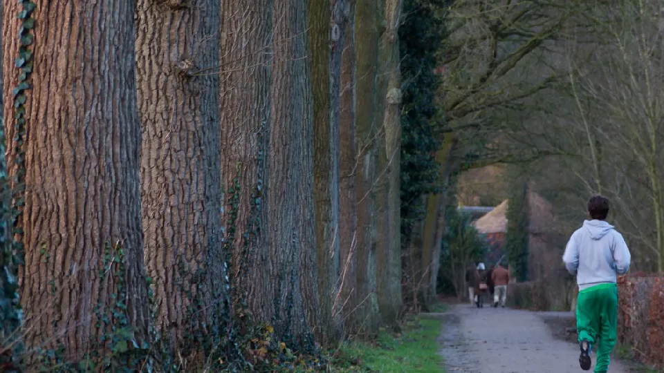 Фото: Медиаархив Подмосковья