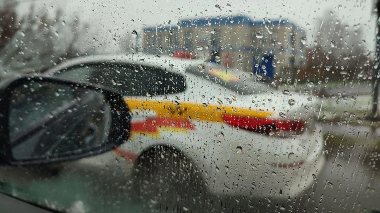 REGIONS/Елена Забелина