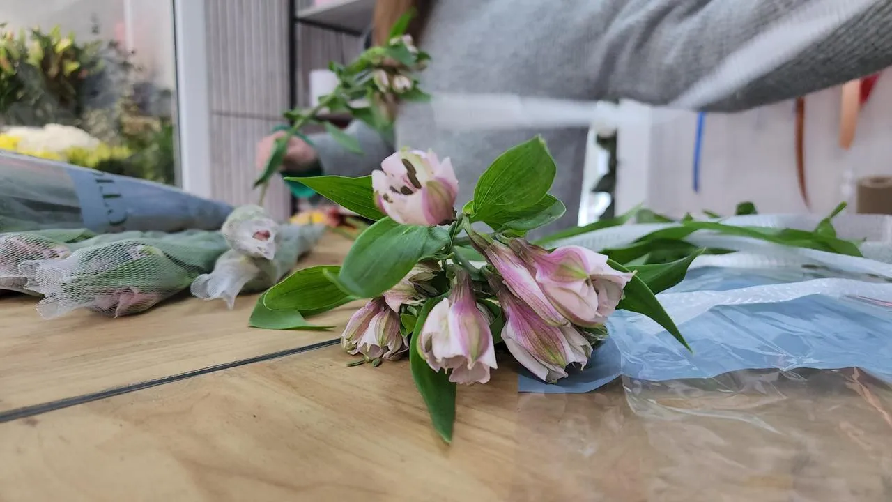 МедиаБанк Подмосковья/Екатерина Данилина