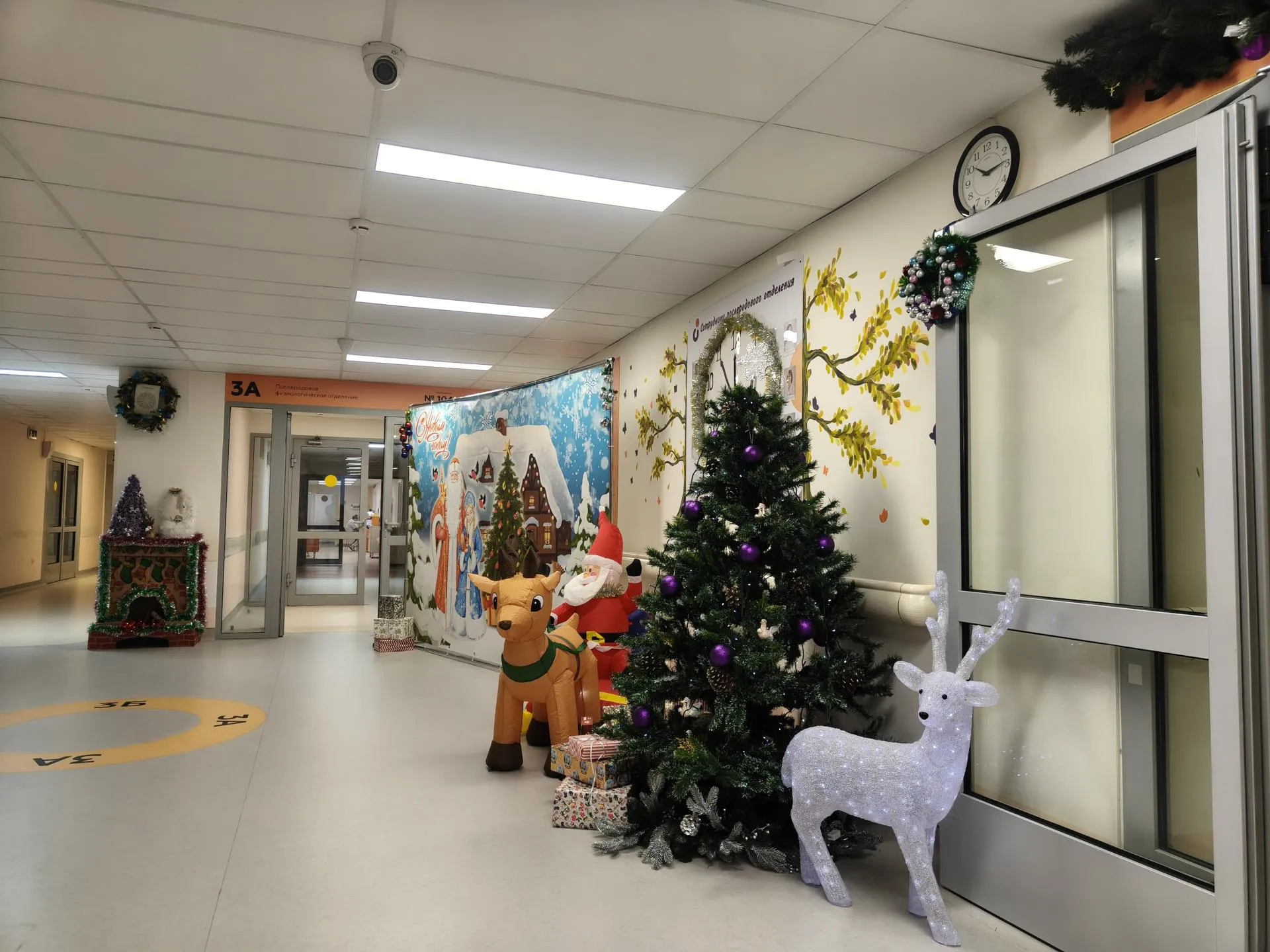 Фото: Сергей Орлов&nbsp;