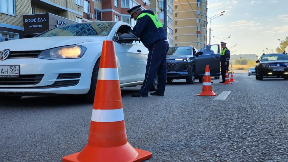 Фото: Анастасия Сараева