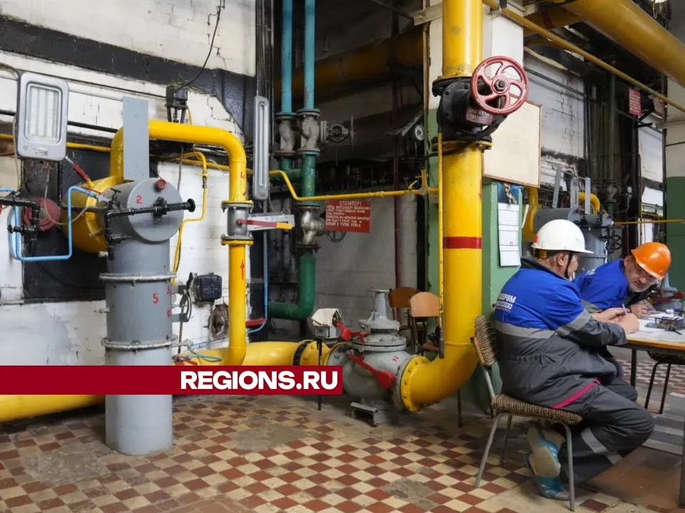 Фото: Дмитрий Зайчиков