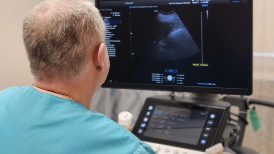 Фото: МедиаБанк Подмосковья/Ольга Вельшикаева