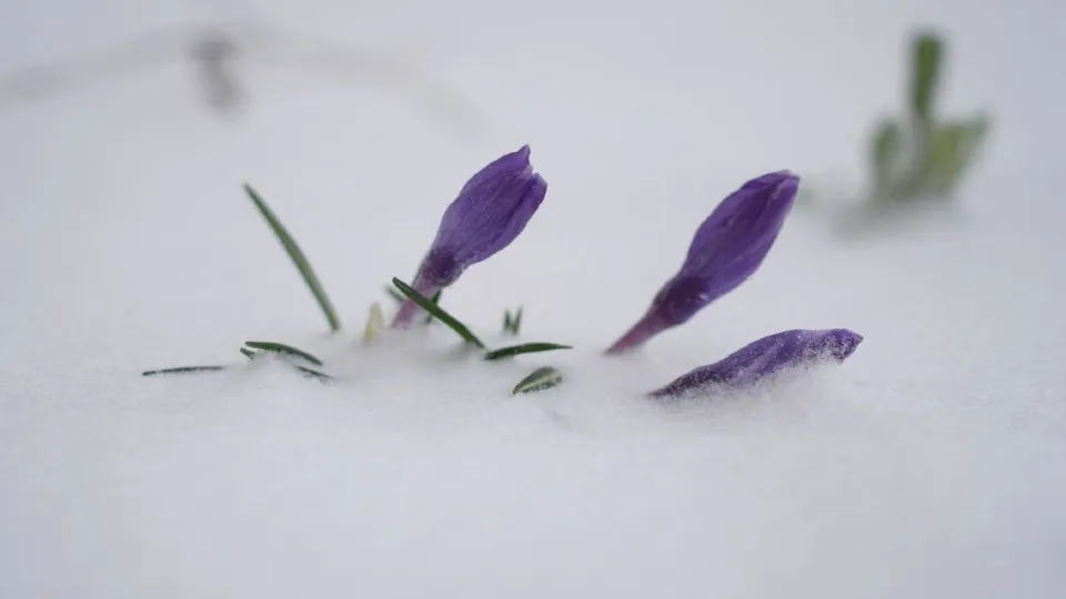 Фото: МедиаБанк Подмосковья/Дмитрий Зайчиков