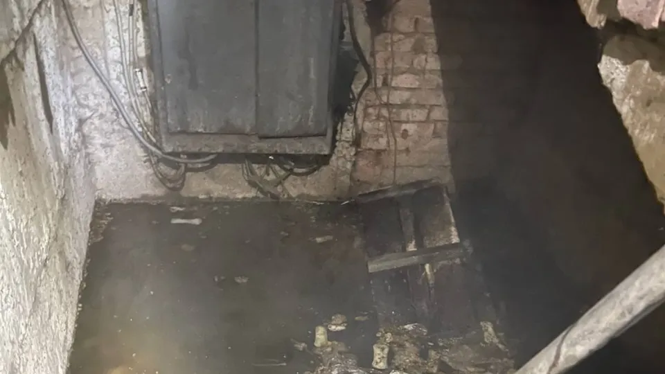 Фото: Наталья Курчангина