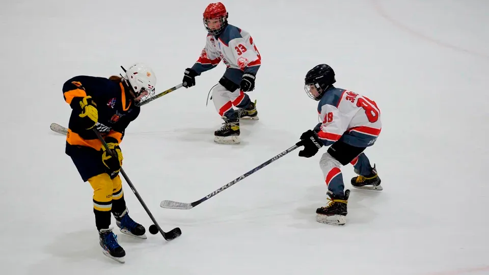 Фото: Зарайский ледовый спортивный комплекс