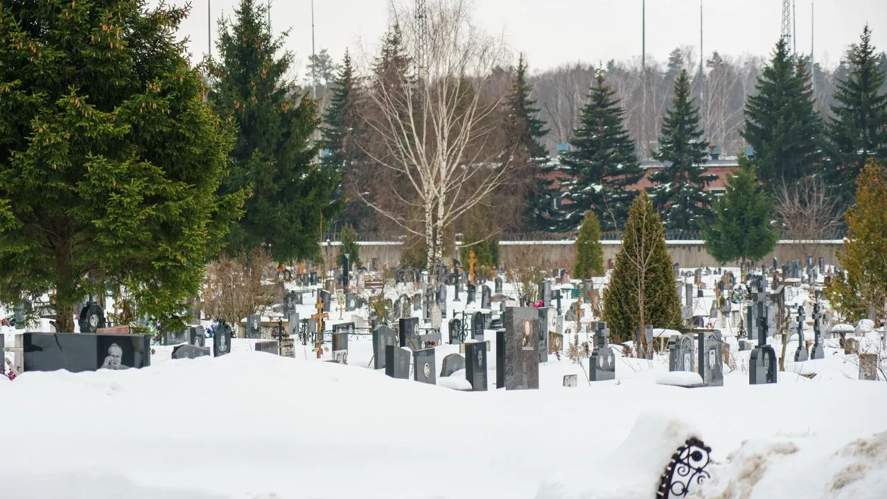 медиасток.рф