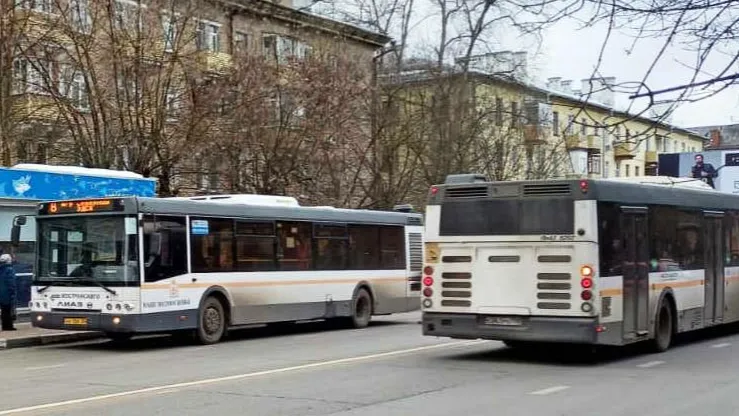 Фото: Нина Басистая