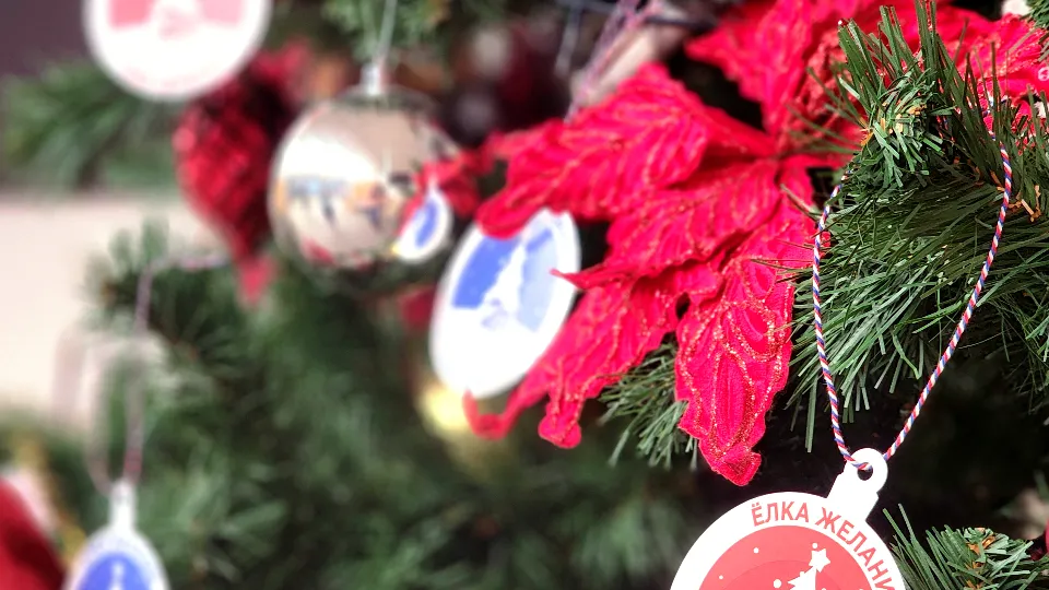 Фото: МедиаБанк Подмосковья/Полина Пахомова