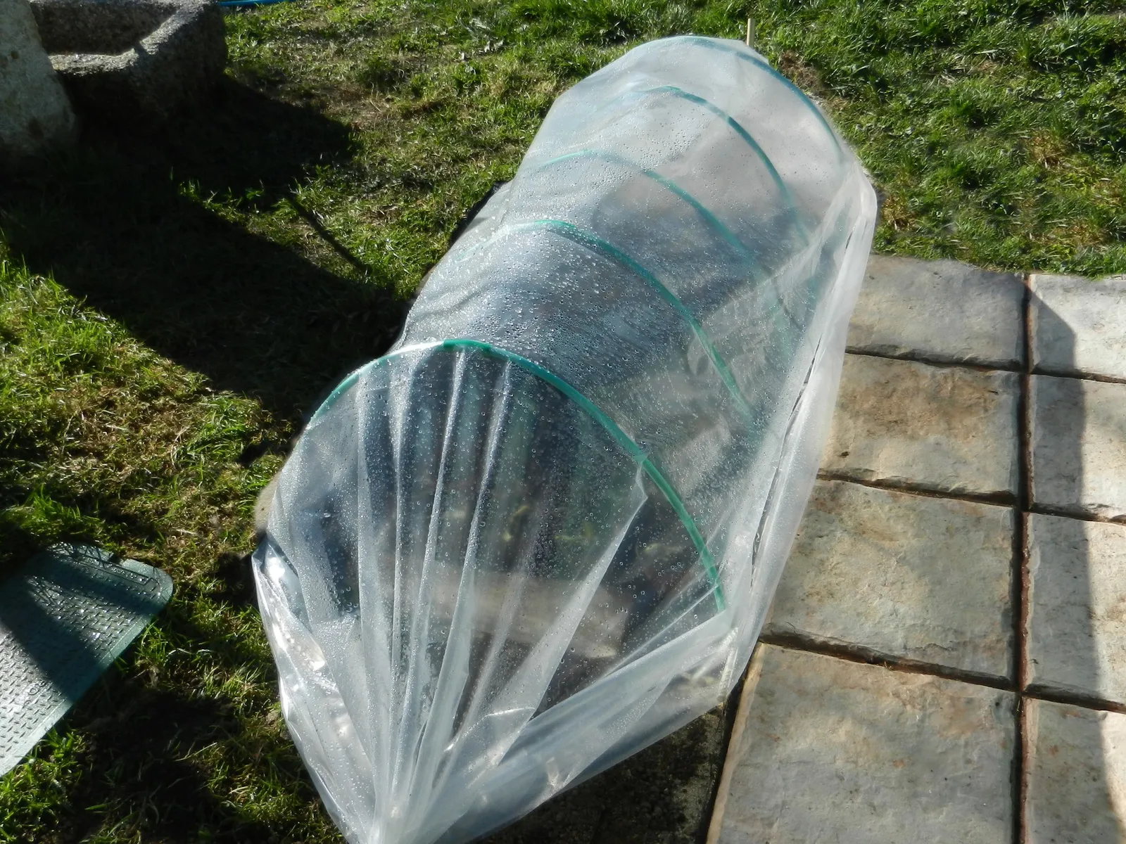 Фото: pxhere.com