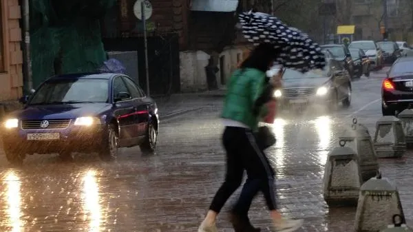 Автовладельцам рекомендовали не парковаться у деревьев из-за непогоды в Подмосковье