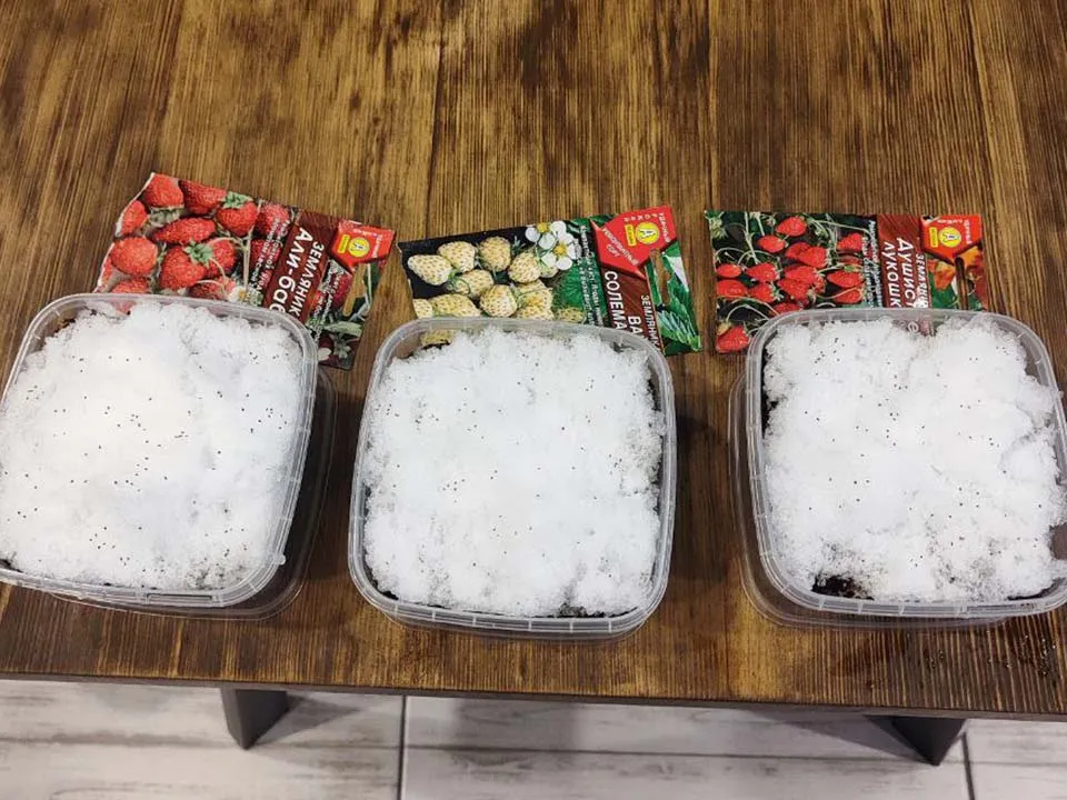 Фото: REGIONS/Нина Горина&nbsp;