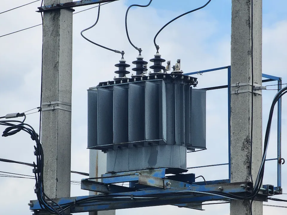 Фото: МедиаБанк Подмосковья/Светлана Плотникова