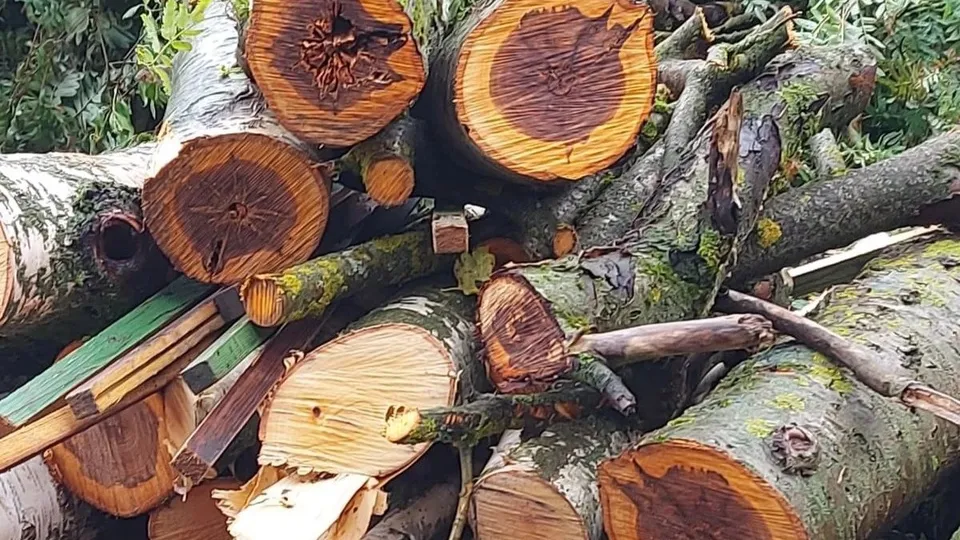 Фото: vk.com/Андрей Мардасов