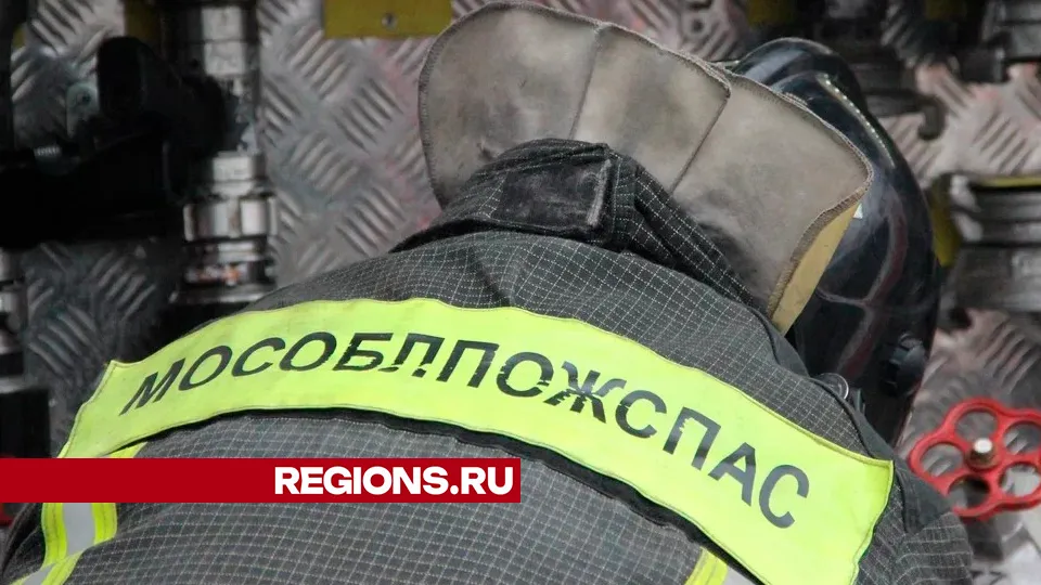 Фото: REGIONS/Василий Тремасов