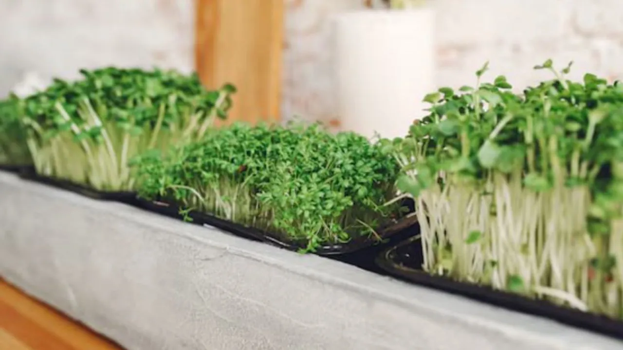 Фото: freepik.com