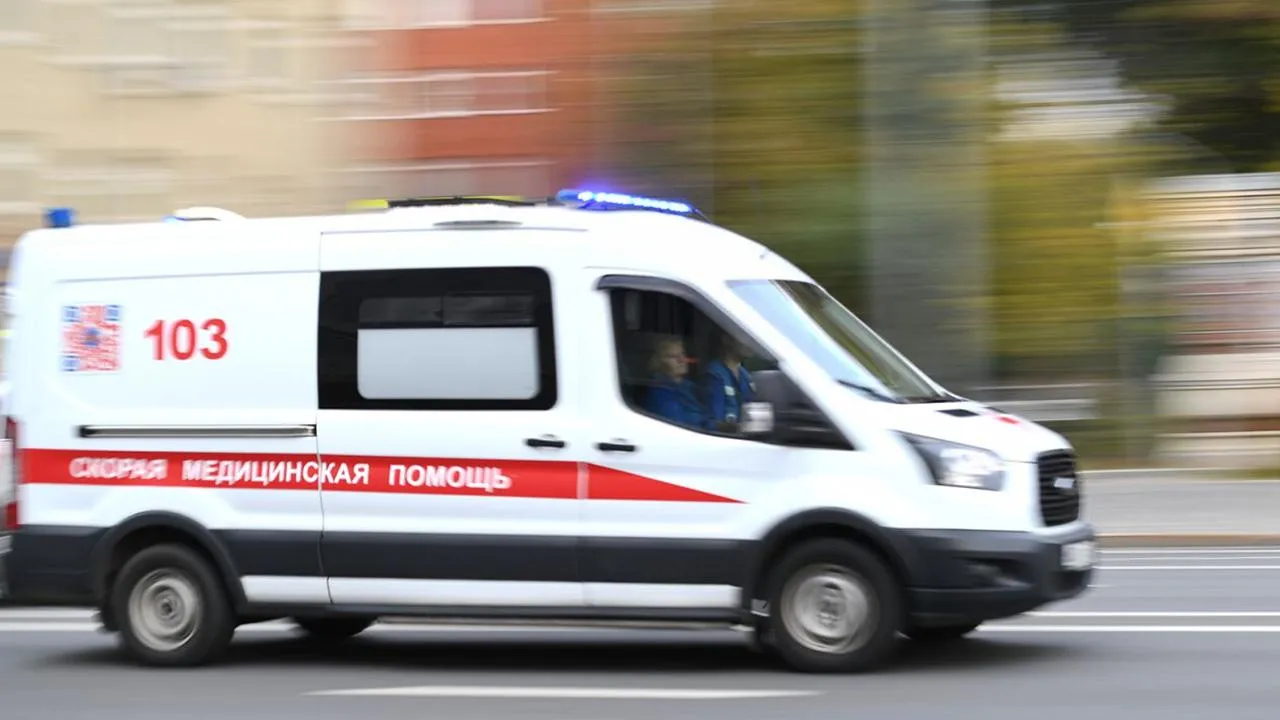 «Хозяин так ее замучил»: лошадь чуть не убила ребенка в Анапе