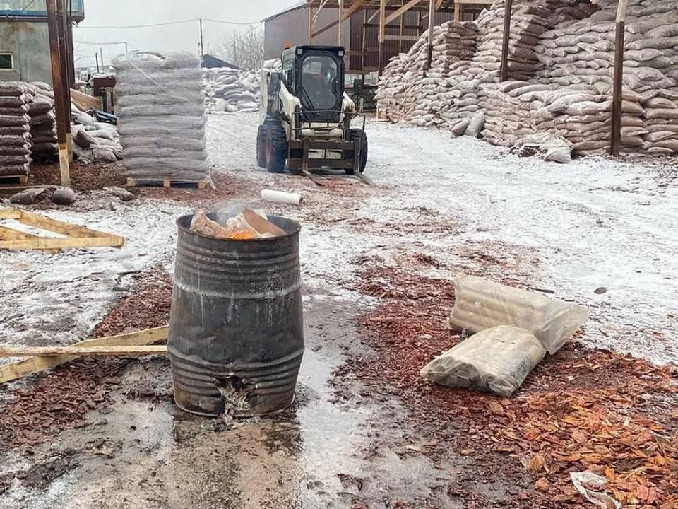 Фото:&nbsp;Министерство экологии и природопользования Московской области