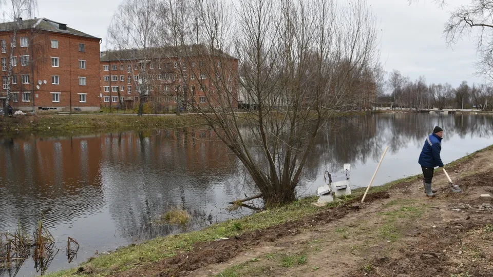 Фото: МедиаБанк Подмосковья/Владимир Останин