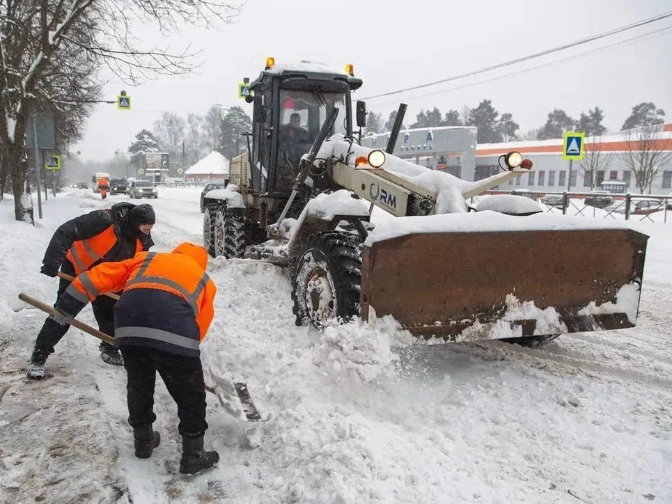 Фото: пресс-служба администрации Наро-Фоминского г.о.&nbsp;&nbsp;