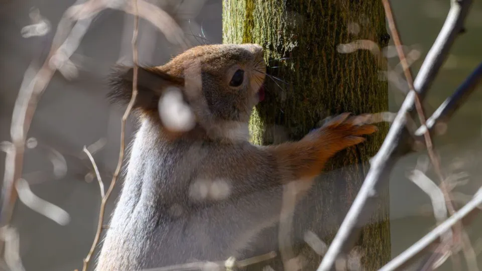 Фото: Виктор Архипенко