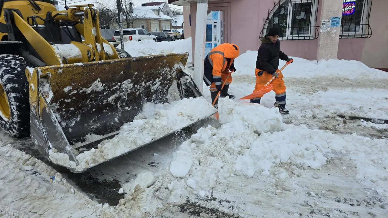 МедиаБанк Подмосковья/Марина Анисимова