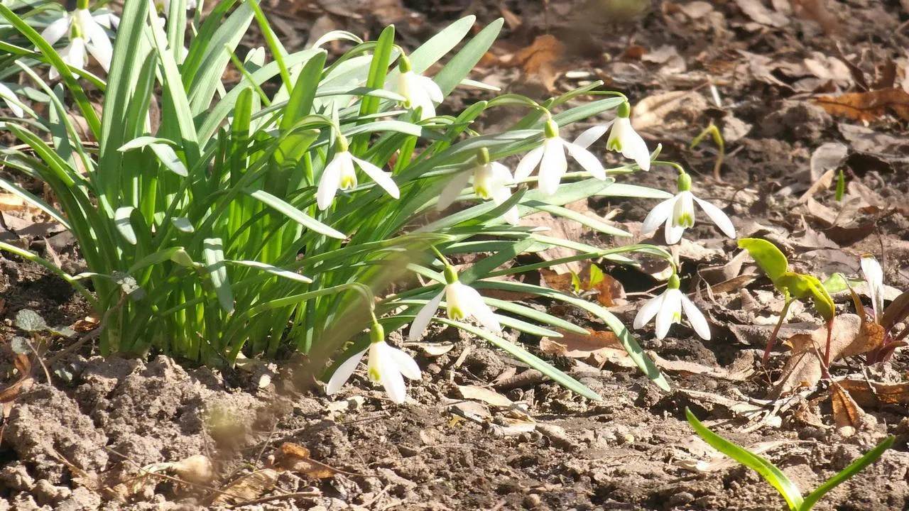 МедиаБанк Подмосковья/Валерия Исаева