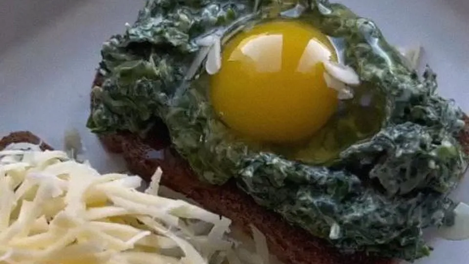 Фото: REGIONS/Наталья Фомина