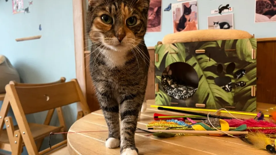 Фото: Максим Сафронов