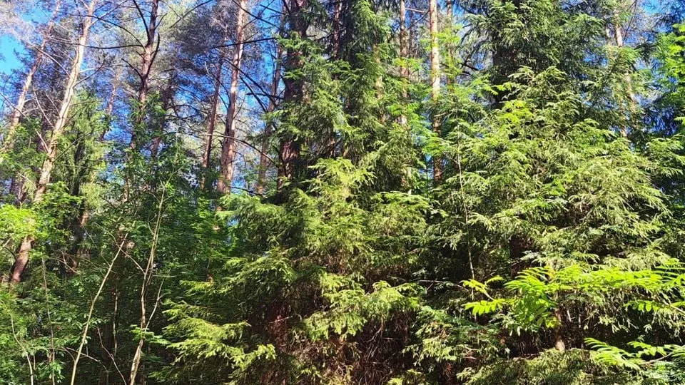 Фото: REGIONS/Татьяна Замятина