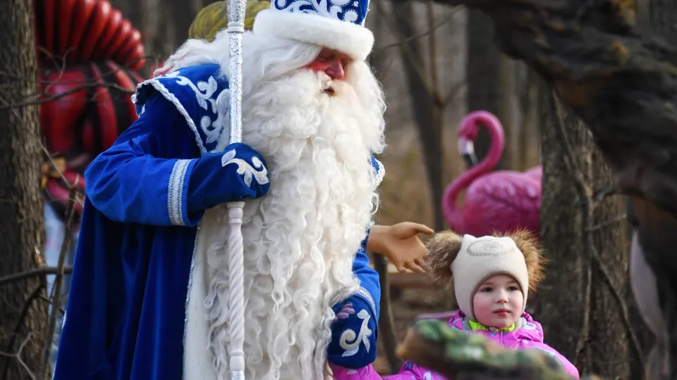 Фото: РИА Новости/Кирилл Каллиников