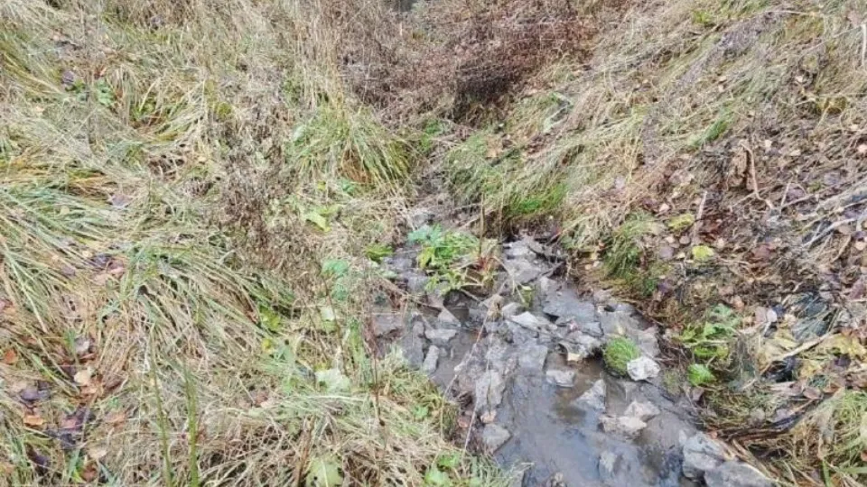 Фото: Министерство экологии и природопользования Московской области