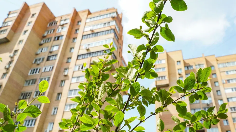 Фото: МедиаБанк Подмосковья/Иван Чижов